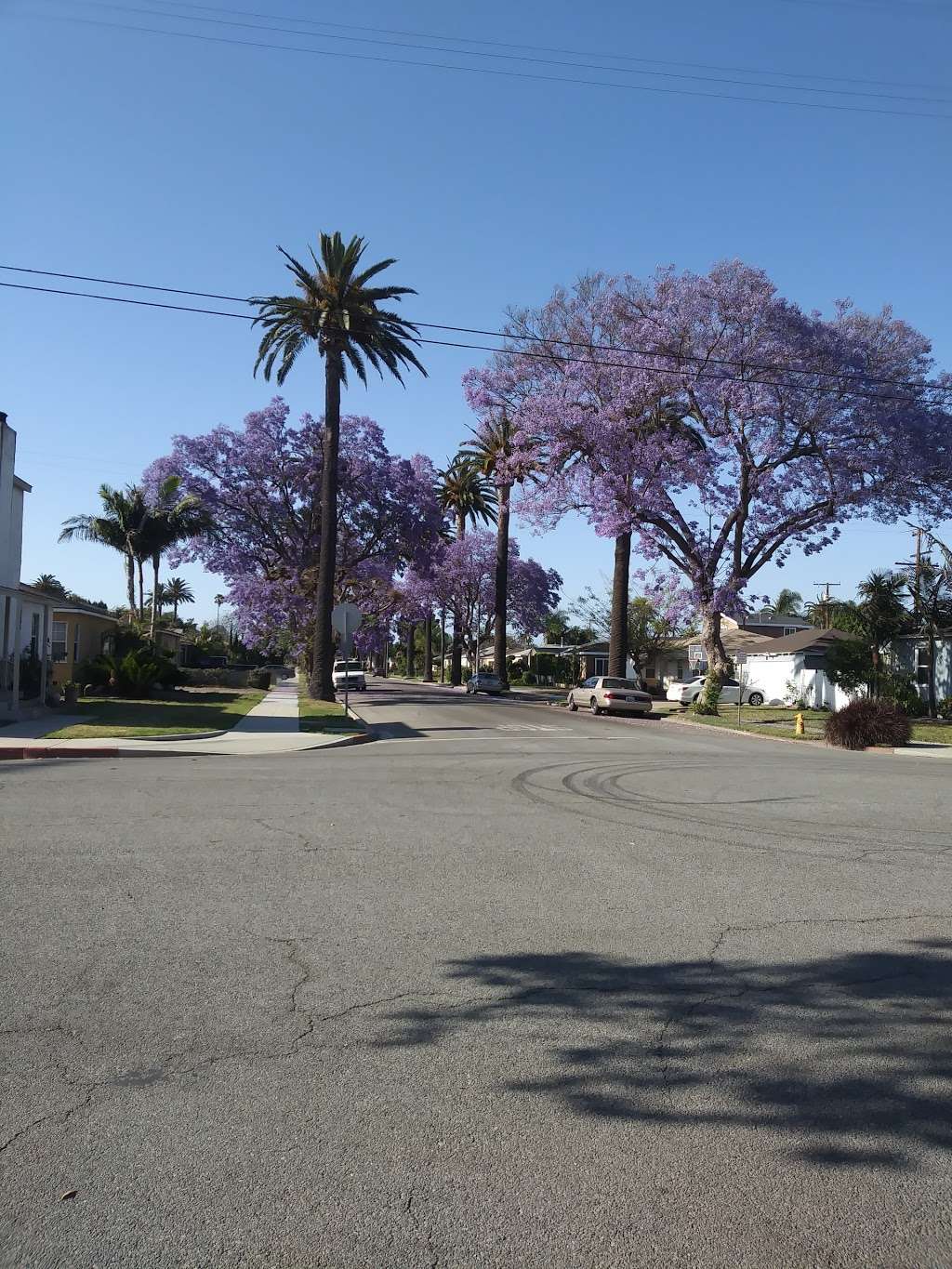 South Wrigley Park | Long Beach, CA 90806, USA