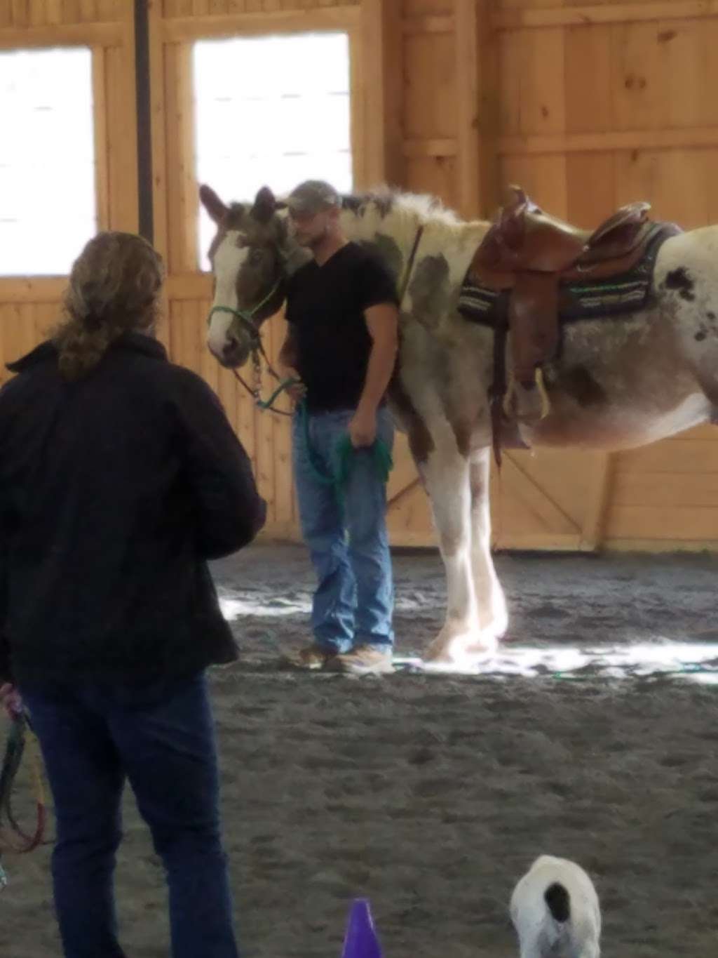 Triaingle Therapeutic Riding | 30 Martin Dr, Reinholds, PA 17569, USA | Phone: (717) 371-3654