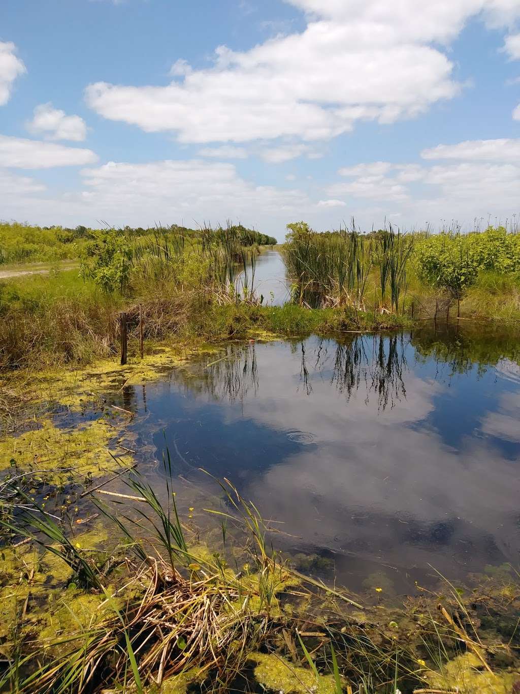 Lake Woodruff National Wildlife Refuge | De Leon Springs, FL 32130 | Phone: (386) 985-4673