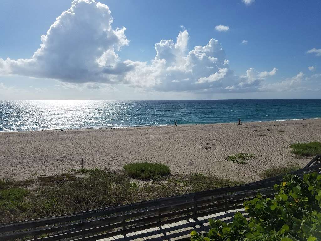 John D. MacArthur Beach State Park | 10900 Jack Nicklaus Dr, North Palm Beach, FL 33408, USA | Phone: (561) 624-6950