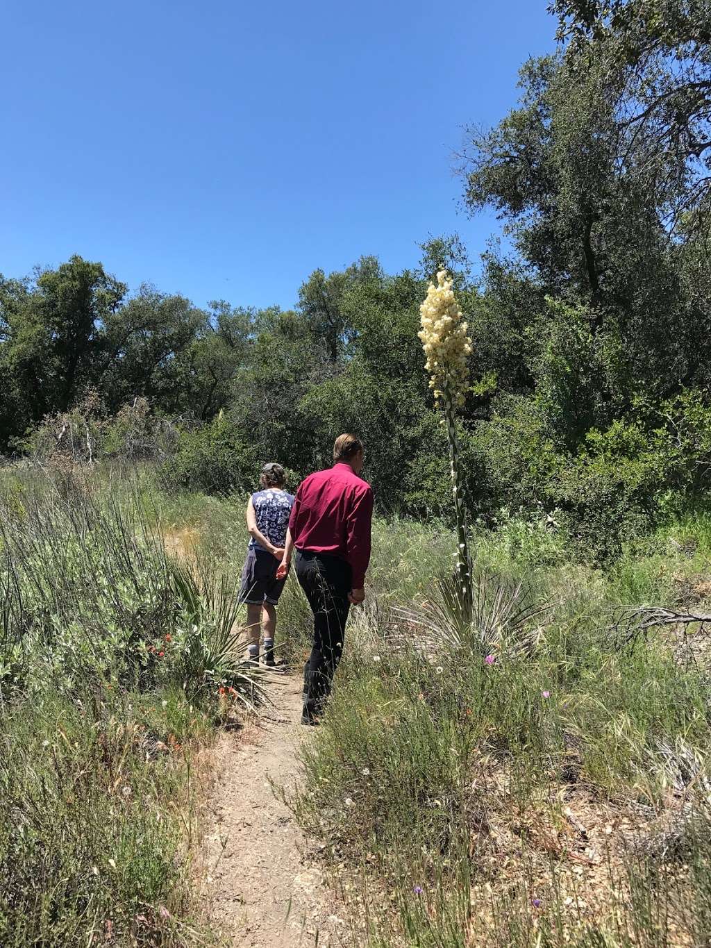 Blue Jay Trailhead | Long Canyon Rd, Lake Elsinore, CA 92530, USA | Phone: (858) 673-6180