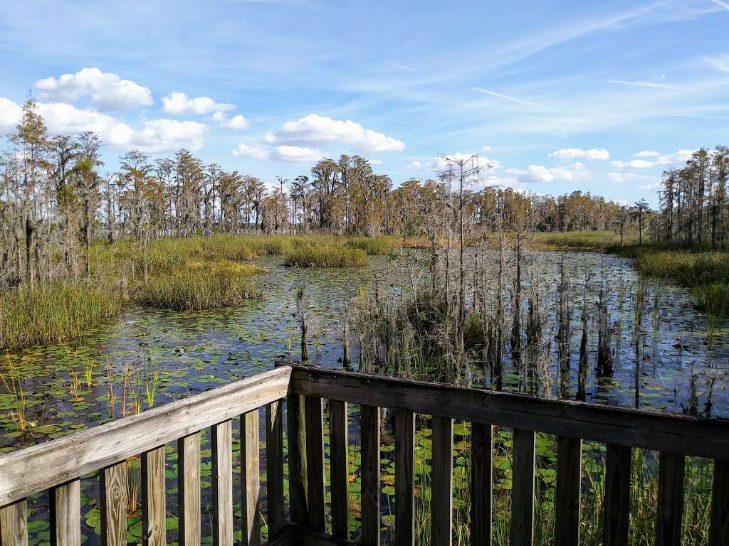 Tibet-Butler Nature Preserve | 8777 Winter Garden Vineland Rd, Orlando, FL 32836 | Phone: (407) 254-1940