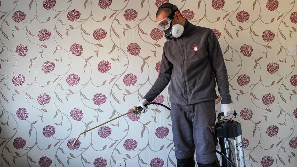 Bed Bug Hunters | London, UK | Phone: 07565 800449