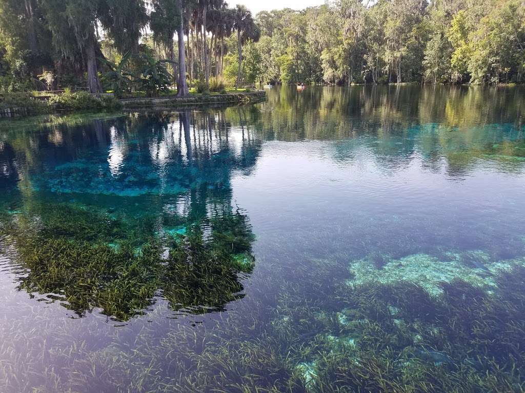 Glass Bottom Boat Tours at Silver Springs | 5656 E Silver Springs Blvd, Silver Springs, FL 34488, USA | Phone: (352) 261-5840