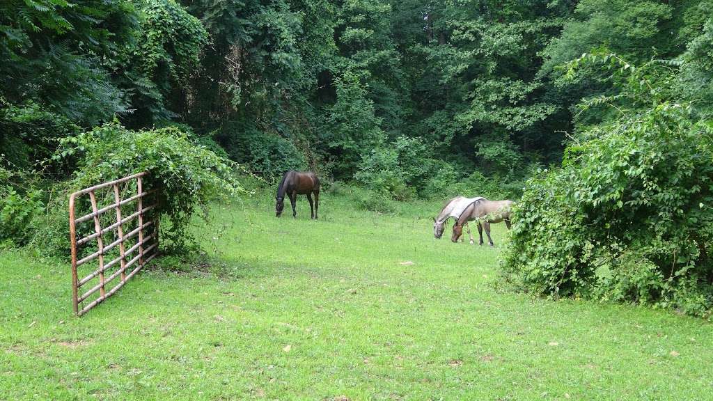 Hilltop Ranch | 1 Bridle Ln, Mohnton, PA 19540, USA | Phone: (610) 777-4204