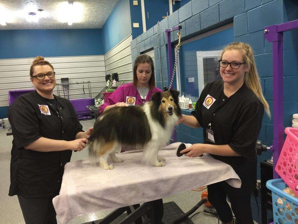 Grooming School of Indiana | 2435 S State Rd 135, Greenwood, IN 46143, USA | Phone: (317) 919-5471