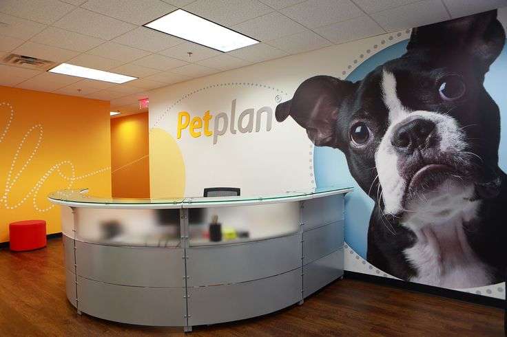 Petplan Pet Insurance - North America | 3805 West Chester Pike Suite 240, Newtown Square, PA 19073 | Phone: (866) 467-3875