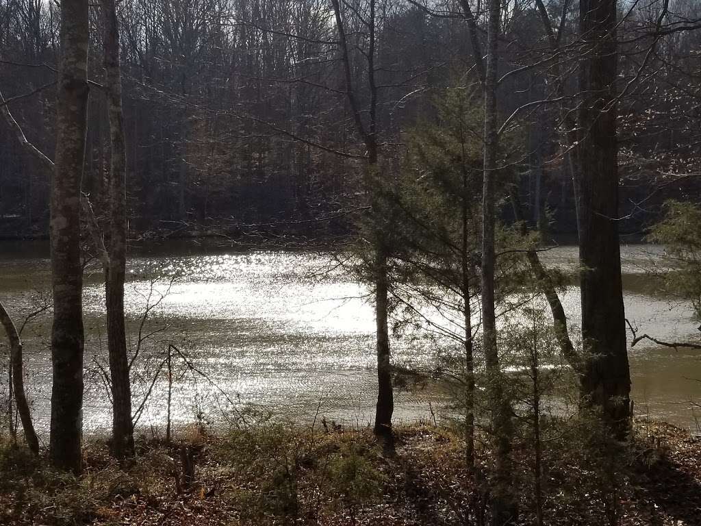 Reedy Creek Park Shelter 4 | 2900 Rocky River Rd, Charlotte, NC 28213, USA | Phone: (980) 314-1001