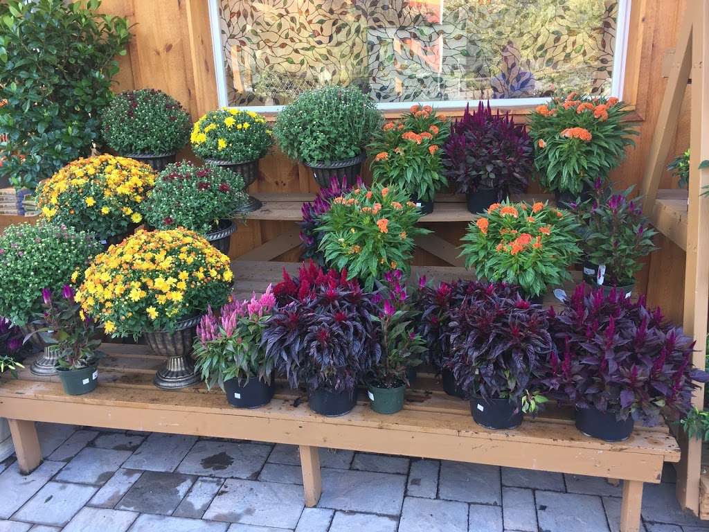 Zainos Nursery & Garden Center | 900 Jericho Turnpike, Westbury, NY 11590 | Phone: (516) 333-7097