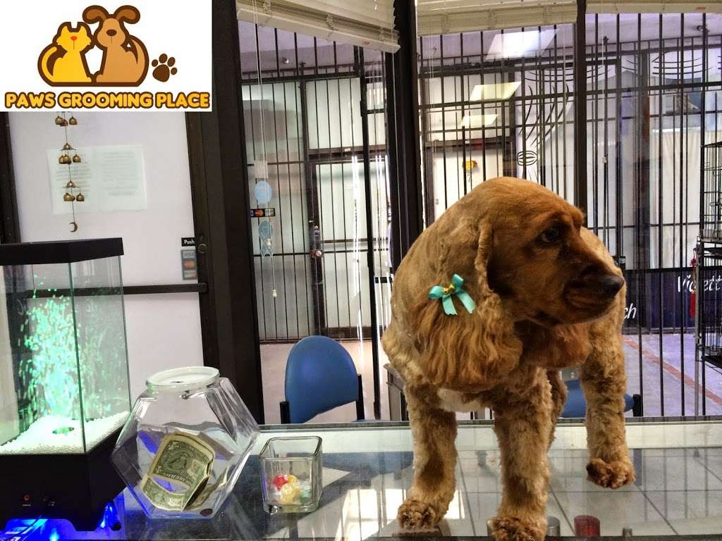 Pet Epoque Grooming | 4700 NW 7th St #3, Miami, FL 33126, USA | Phone: (786) 477-9373