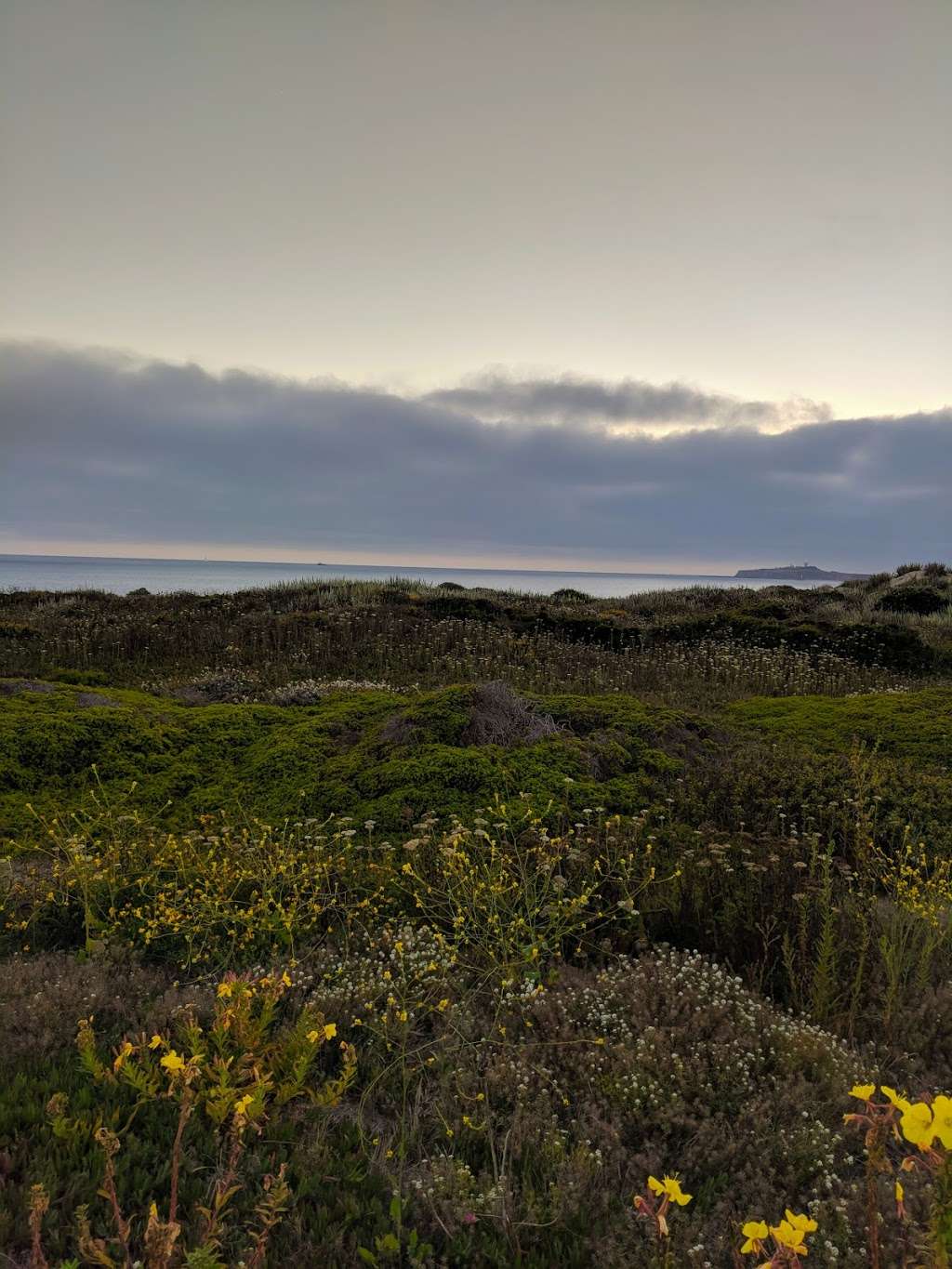 Half Moon Bay State Beach- Dunes Beach Parking Lot | Young Ave, Half Moon Bay, CA 94019 | Phone: (650) 726-8819