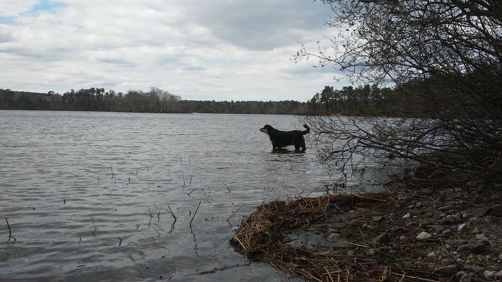 Little Island Pond | Plymouth, MA 02360, USA