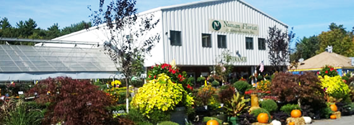 Nunan Florist & Mini Golf | 269 Central St, Georgetown, MA 01833, USA | Phone: (978) 352-8172