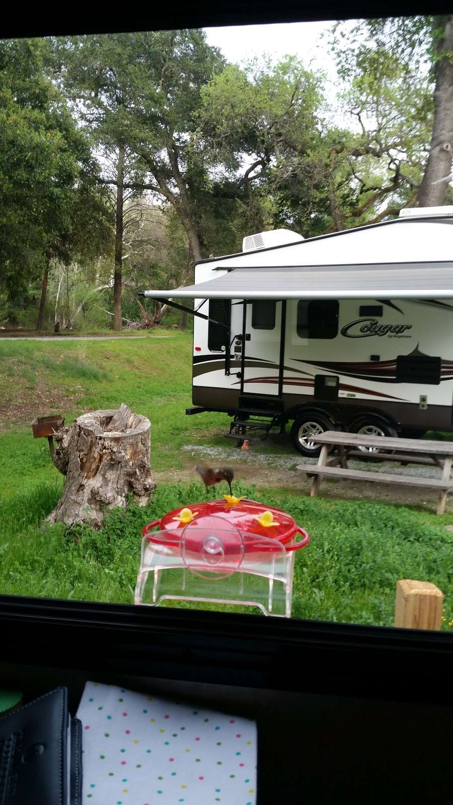 Uvas Pines RV Park | 13210 Uvas Rd, Morgan Hill, CA 95037, USA | Phone: (408) 779-3417