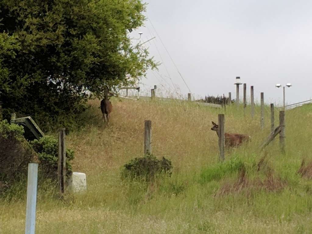 Red Barn | 75 Bear Valley Rd, Point Reyes Station, CA 94956, USA | Phone: (415) 663-1200