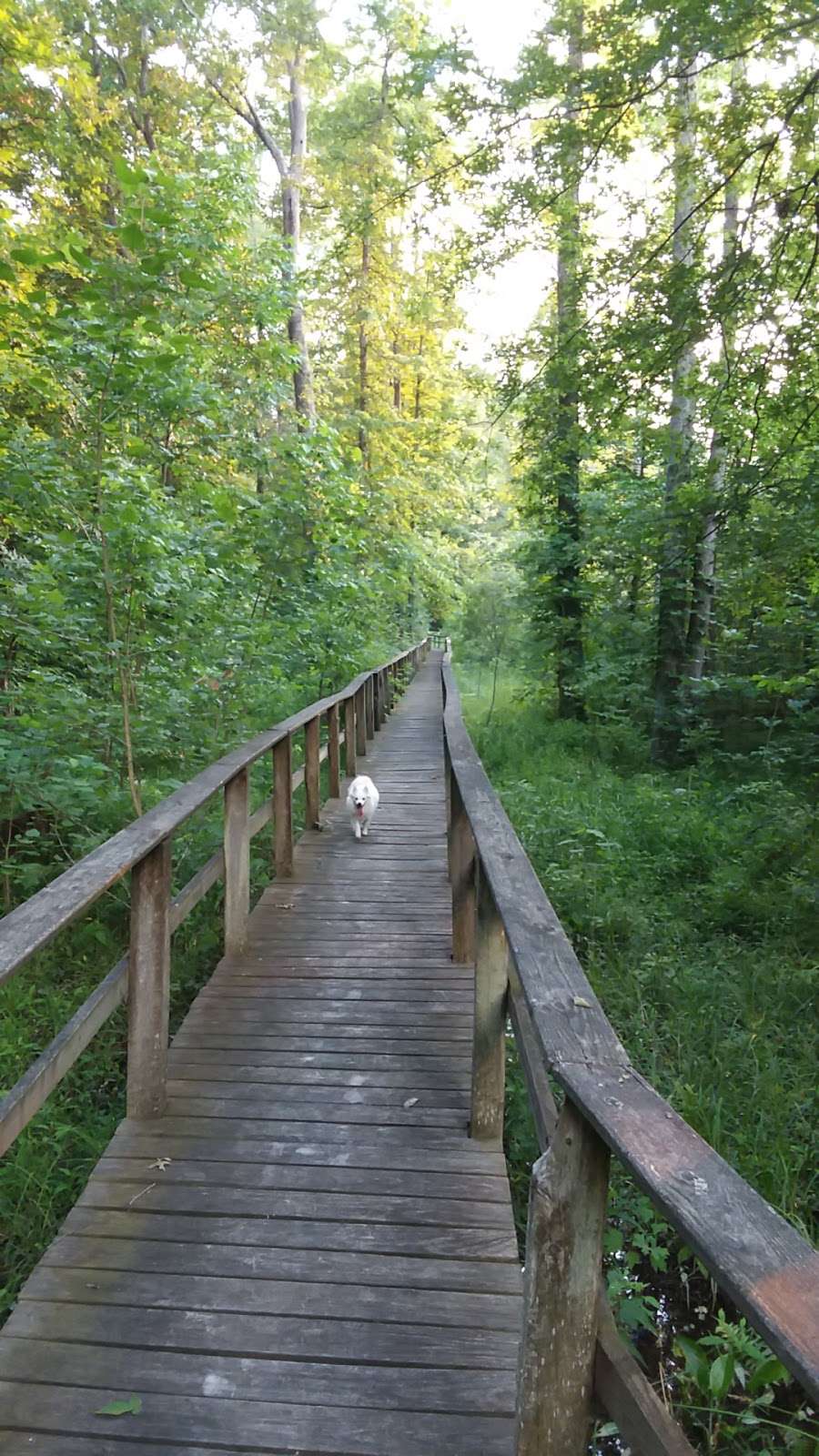 Beanblossom Bottoms Nature Preserve - Sycamore Land Trust | N Woodall Rd, Ellettsville, IN 47429, USA | Phone: (812) 336-5382