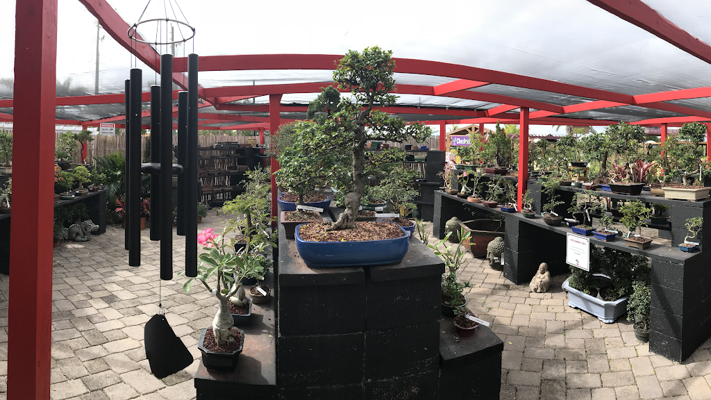 Tyler the Bonsai Guy | 1655 S Flamingo Rd, Davie, FL 33325, USA | Phone: (954) 401-6477