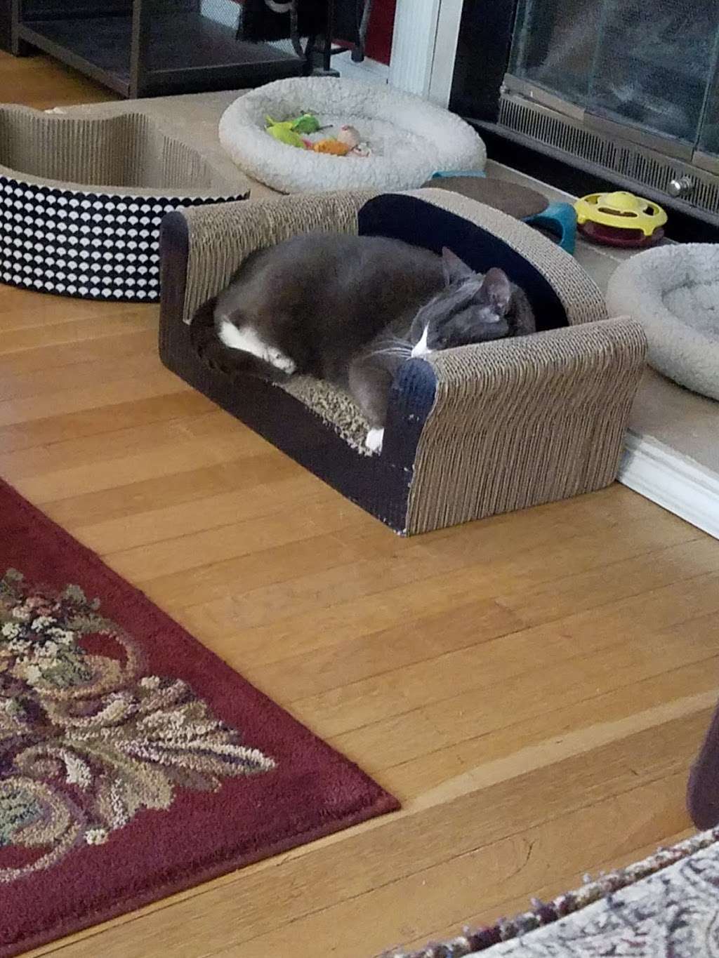 Pampered Soul Massage - Mobile Massage & Spa | 2233, 350 Kelly Ave, Brick, NJ 08724, USA | Phone: (732) 492-4707