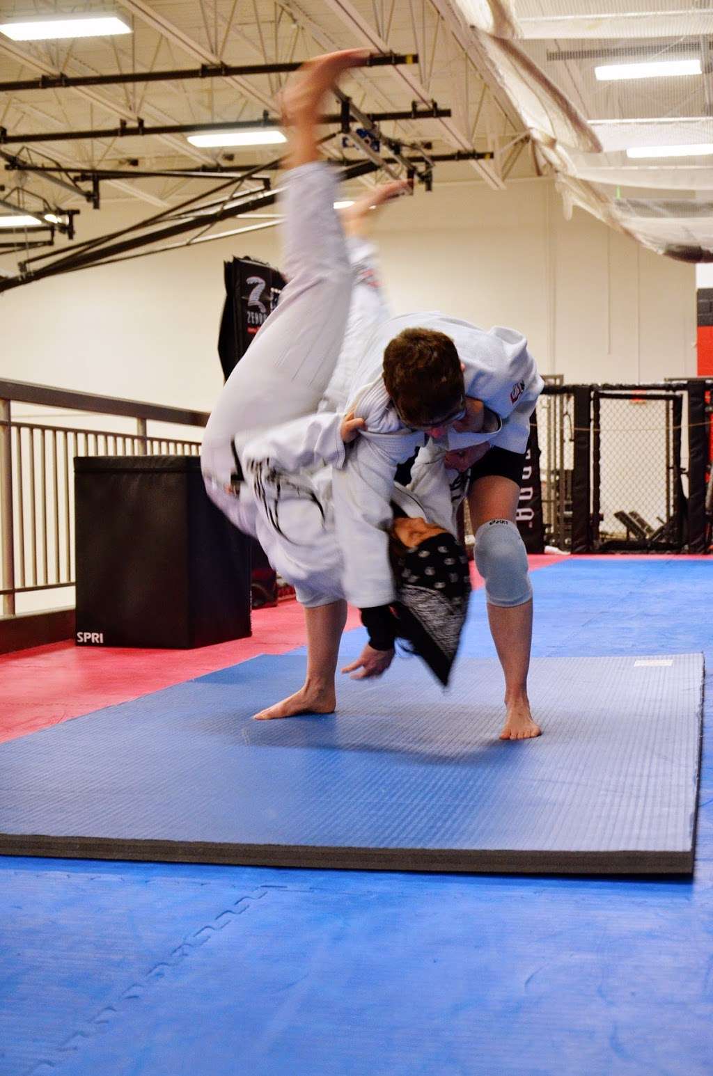 Black Tiger Martial Arts Academy | 1500 N Milwaukee Ave, Libertyville, IL 60048, USA | Phone: (847) 406-7079