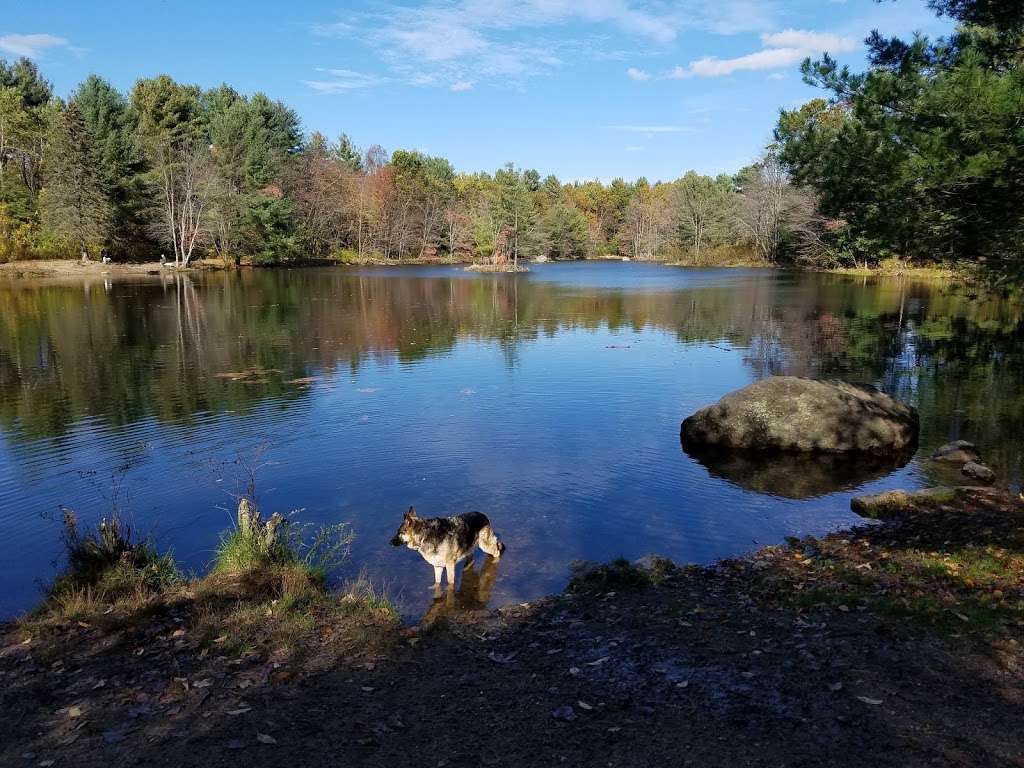 Bower Springs | Bolton, MA 01740, USA