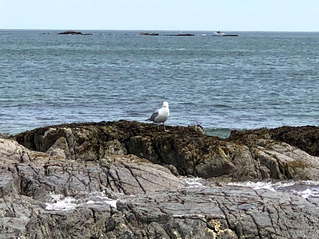 Seabrook Dunes And Beach | 111 Atlantic Ave, Seabrook, NH 03874, USA