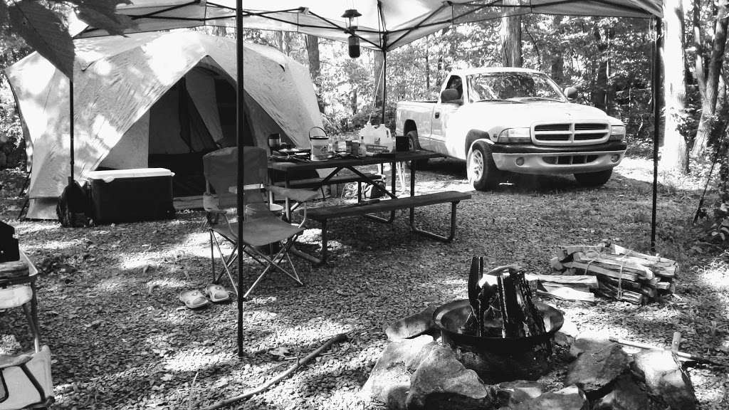 Homestead Family Campgrounds | 1150 Allentown Rd, Green Lane, PA 18054, USA | Phone: (215) 257-3445