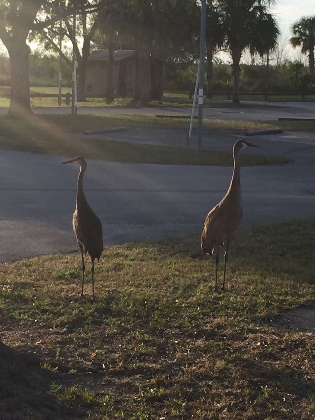 Leroy Wright Recreation Area | 8199 W King St, Cocoa, FL 32926, USA