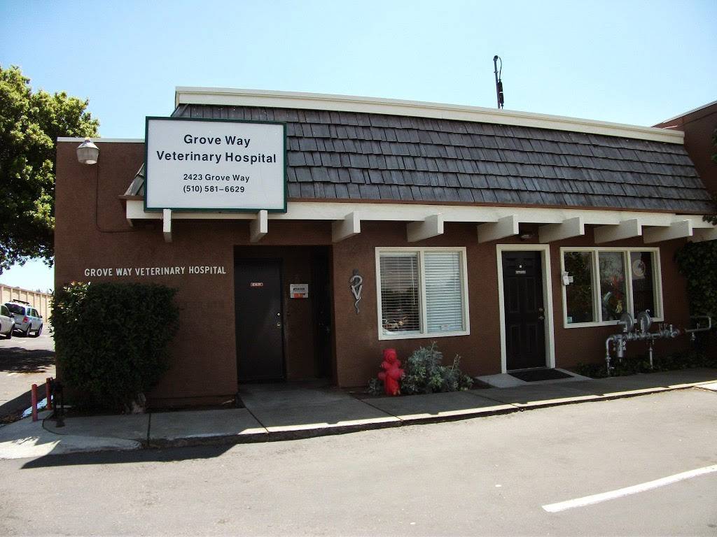 Groveway Veterinary Hospital | 2423 Grove Way, Castro Valley, CA 94546, USA | Phone: (510) 581-6629