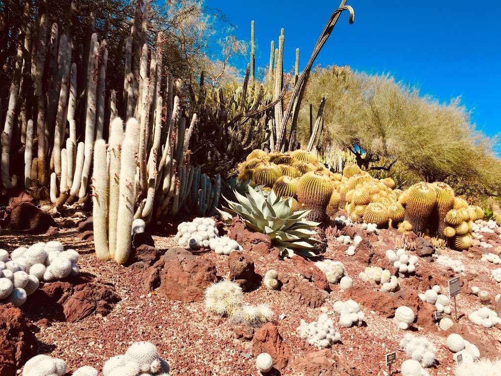 Desert Garden | San Marino, CA 91108, USA