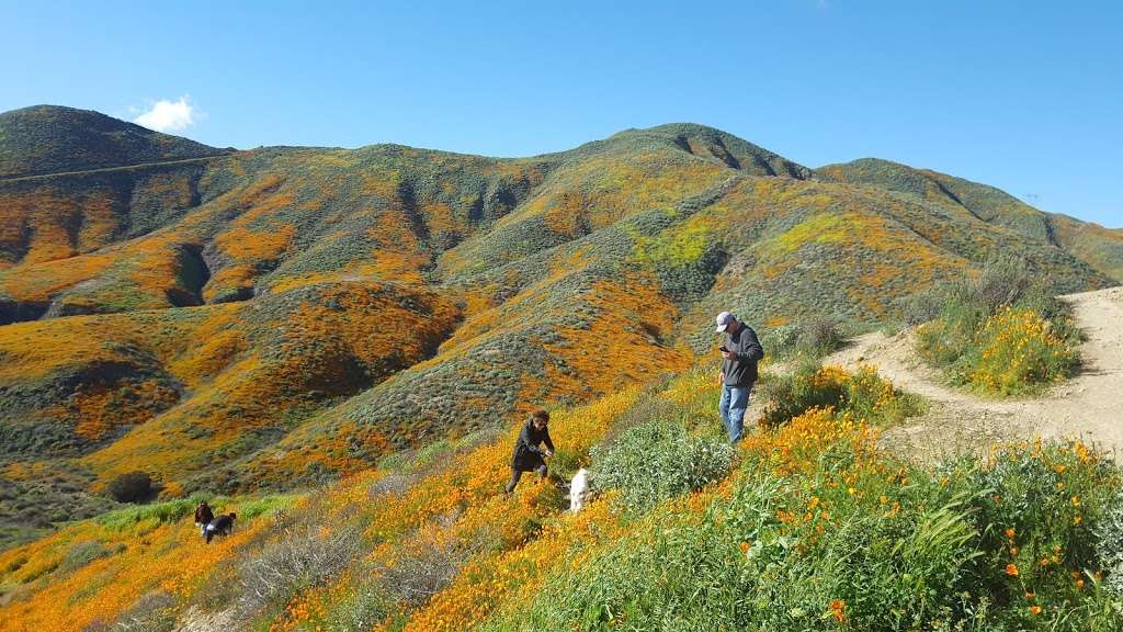 Riverside County Regional Conservation Authority | 26900 Walker Canyon Rd, Lake Elsinore, CA 92530, USA | Phone: (951) 637-6981