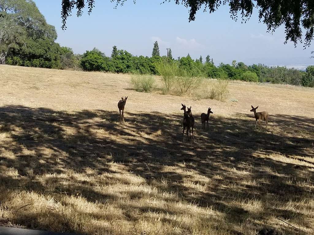 Bailey Canyon Wilderness Park | 451 W Carter Ave, Sierra Madre, CA 91024, USA | Phone: (626) 355-5278