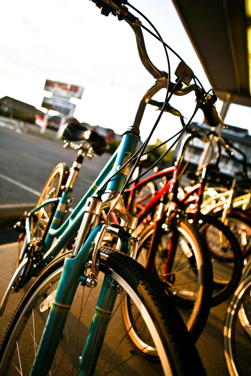 Fenwick Islander Bicycle Shoppe | 101 Coastal Hwy, Fenwick Island, DE 19944, USA | Phone: (302) 537-2021