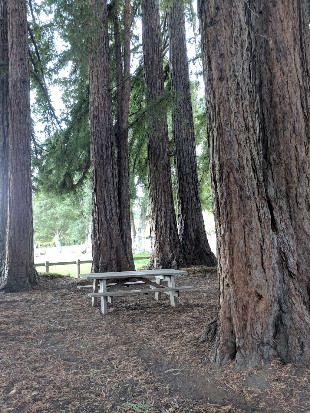 Little Peoples Park | 765 Portola Rd, Portola Valley, CA 94028, USA | Phone: (650) 851-1701