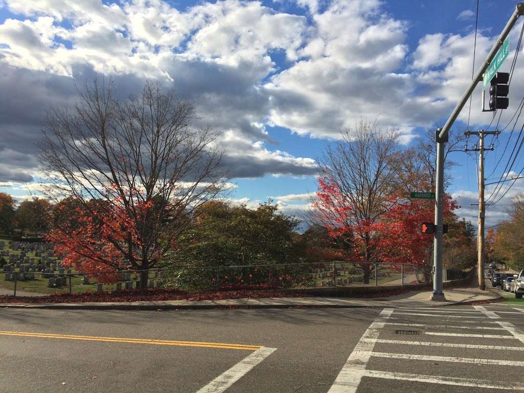 Mt. Hope Cemetery | 355 Walk Hill St, Boston, MA 02131, USA | Phone: (617) 635-7361