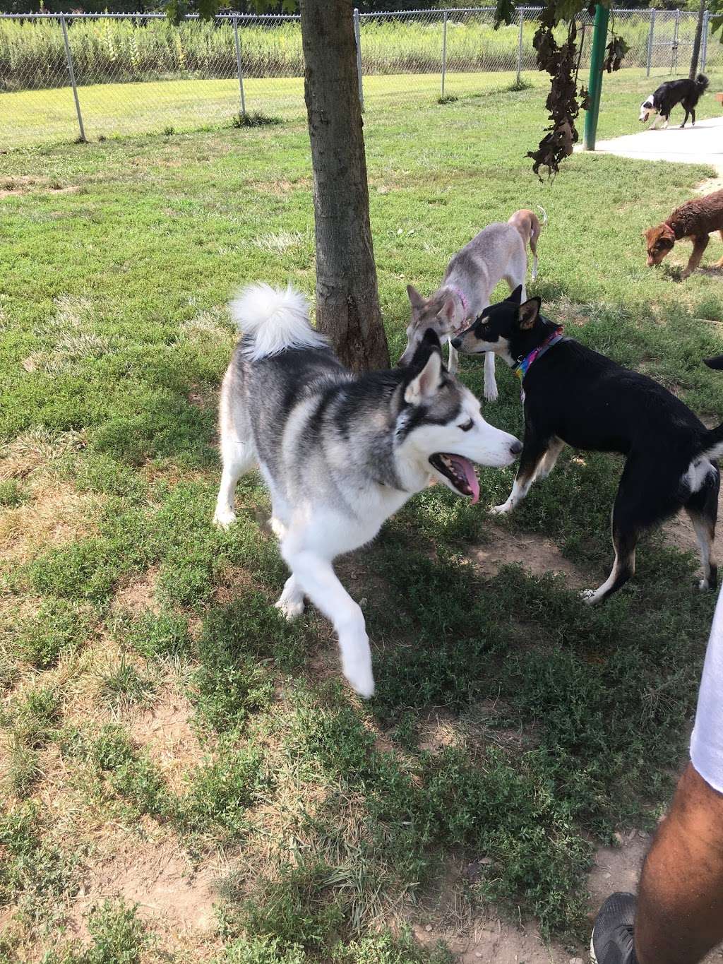 Ferguson Dog Park the best dog park | 4300 N Stone Mill Rd, Bloomington, IN 47408, USA | Phone: (812) 349-3700