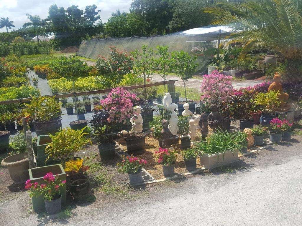 Meyers Turf & Landscape Nursery South | 7760 Southern Blvd, West Palm Beach, FL 33411, USA | Phone: (561) 798-1005