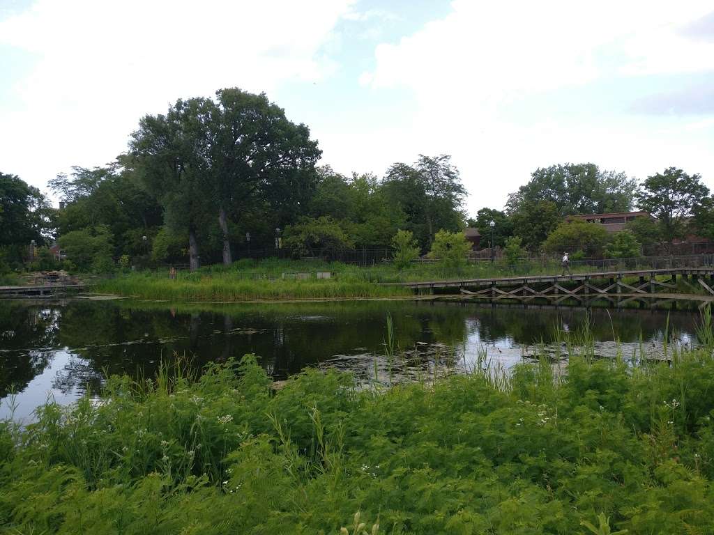 Nature Boardwalk at Lincoln Park Zoo | 2121 N Stockton Dr, Chicago, IL 60614, USA