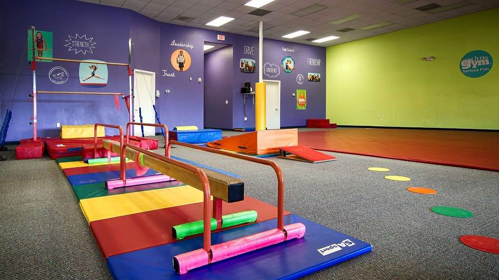 The Little Gym of Friendswood | 400 W Parkwood Ave #108, Friendswood, TX 77546 | Phone: (281) 482-4242