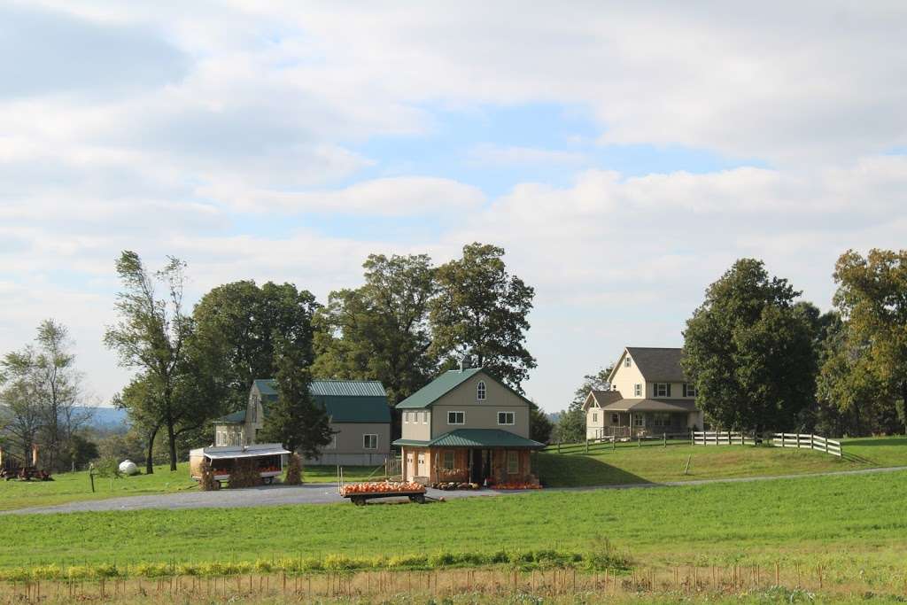 Mountain Top Orchard & Produce | 7123 Division Hwy, Narvon, PA 17555, USA | Phone: (717) 354-4494