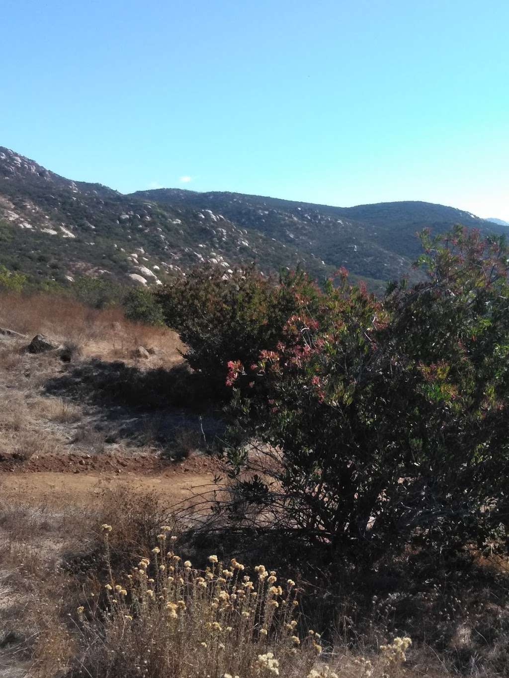 Sycamore Canyon Parking | Ridge Trail, Poway, CA 92064, USA