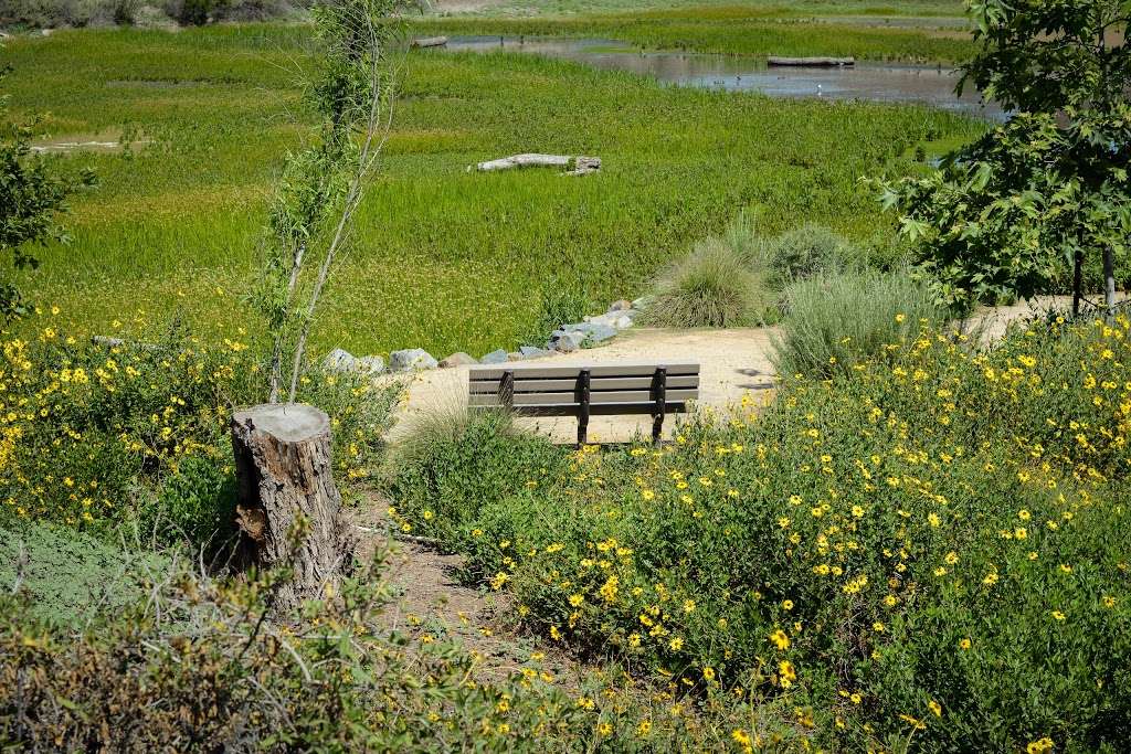 IRWD San Joaquin Marsh & Wildlife Sanctuary | 5 Riparian View, Irvine, CA 92612, USA | Phone: (949) 453-5300