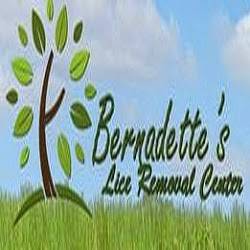 Bernadettes Lice Removal Treatment Clinic | 25144 Lorain Rd, North Olmsted, OH 44070 | Phone: (440) 341-5423