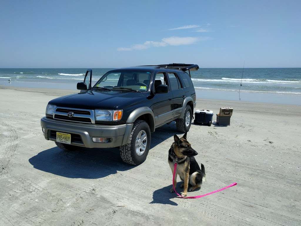 North Brigantine State Natural Area | Brigantine, NJ 08203, USA