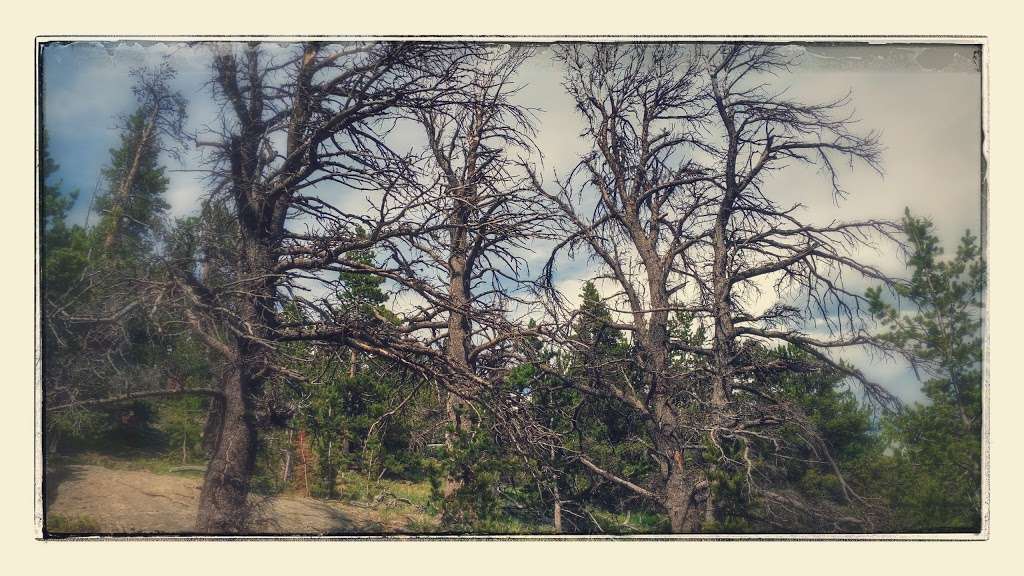 Moore Park | Estes Park, CO 80517, USA