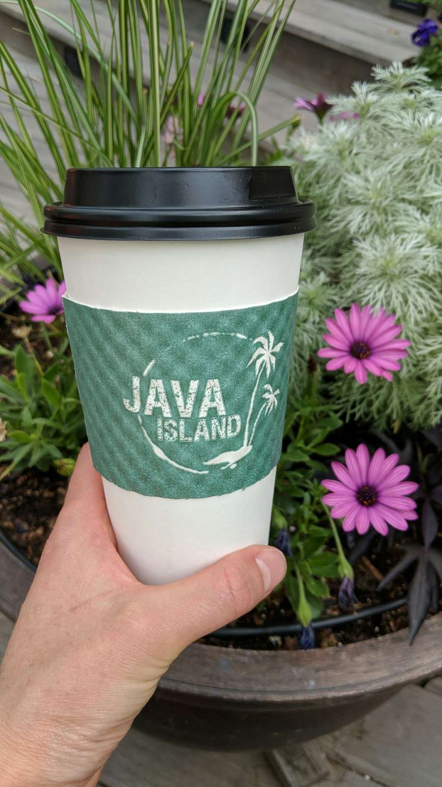 Java Island | 3180 Village Vista Dr, Erie, CO 80516 | Phone: (720) 890-5980