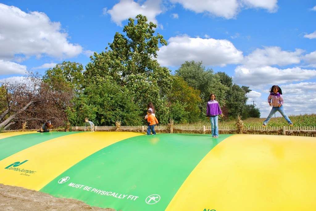 Siegels Cottonwood Farm | 17250 Weber Rd, Lockport, IL 60441, USA | Phone: (815) 741-2693