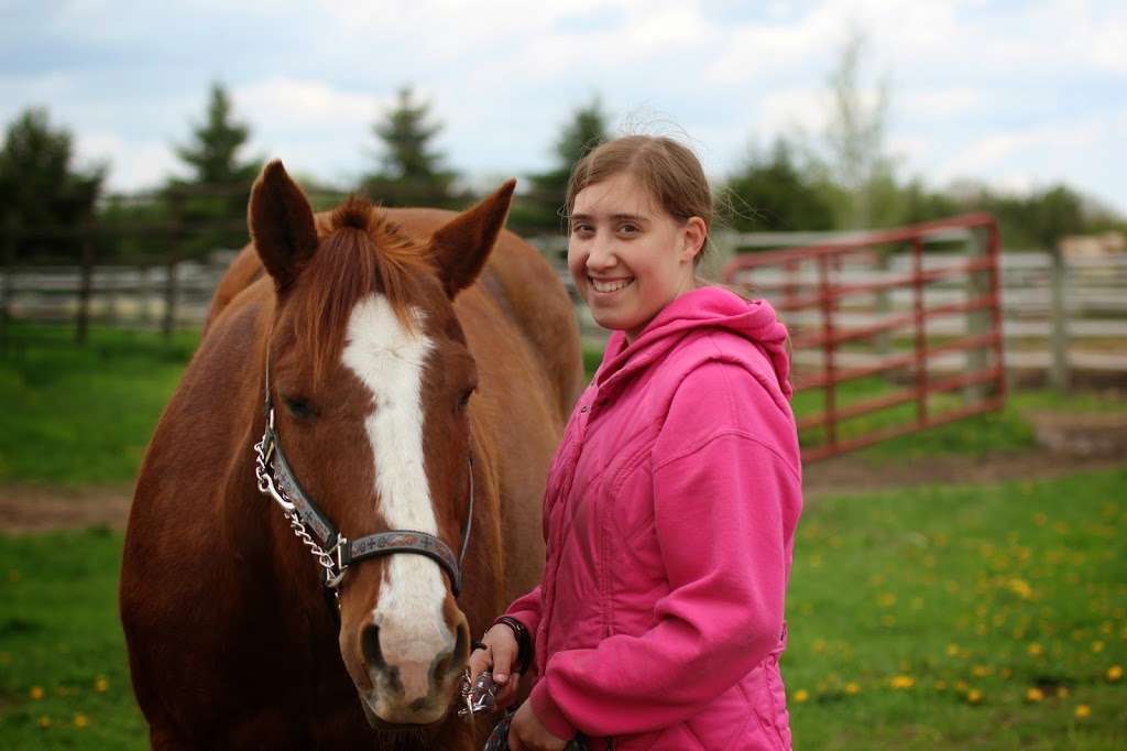 Cornerstone Reining Horses | W691 County Rd CI, Palmyra, WI 53156, USA | Phone: (262) 751-3343