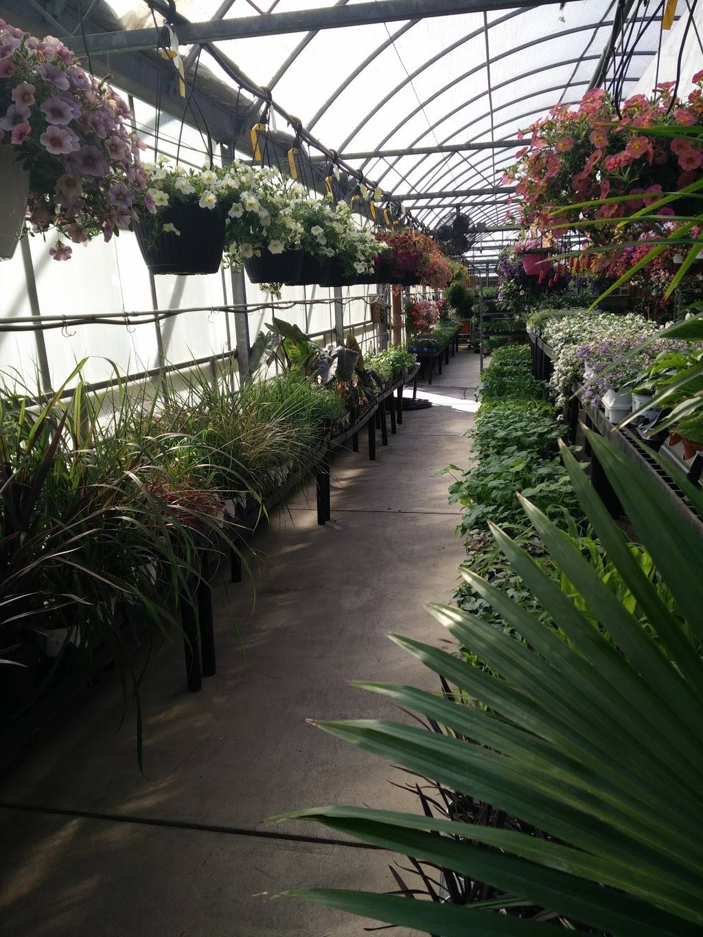 Rosby Greenhouse and Berry Farm | 42 E Schaaf Rd, Brooklyn Heights, OH 44131, USA | Phone: (216) 661-6102