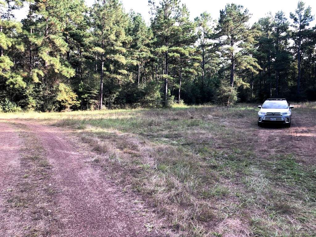 Designated Camping Area | Cleveland, TX 77328, USA