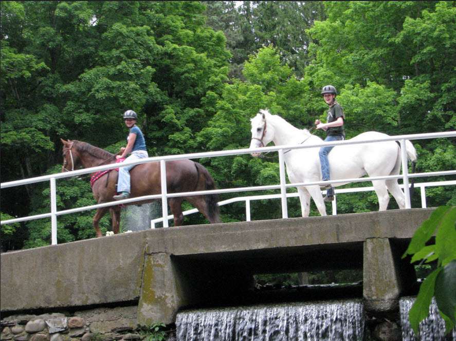Spring Valley Equestrian Center | 56 Paulinskill Lake Rd, Newton, NJ 07860, USA | Phone: (973) 383-3766
